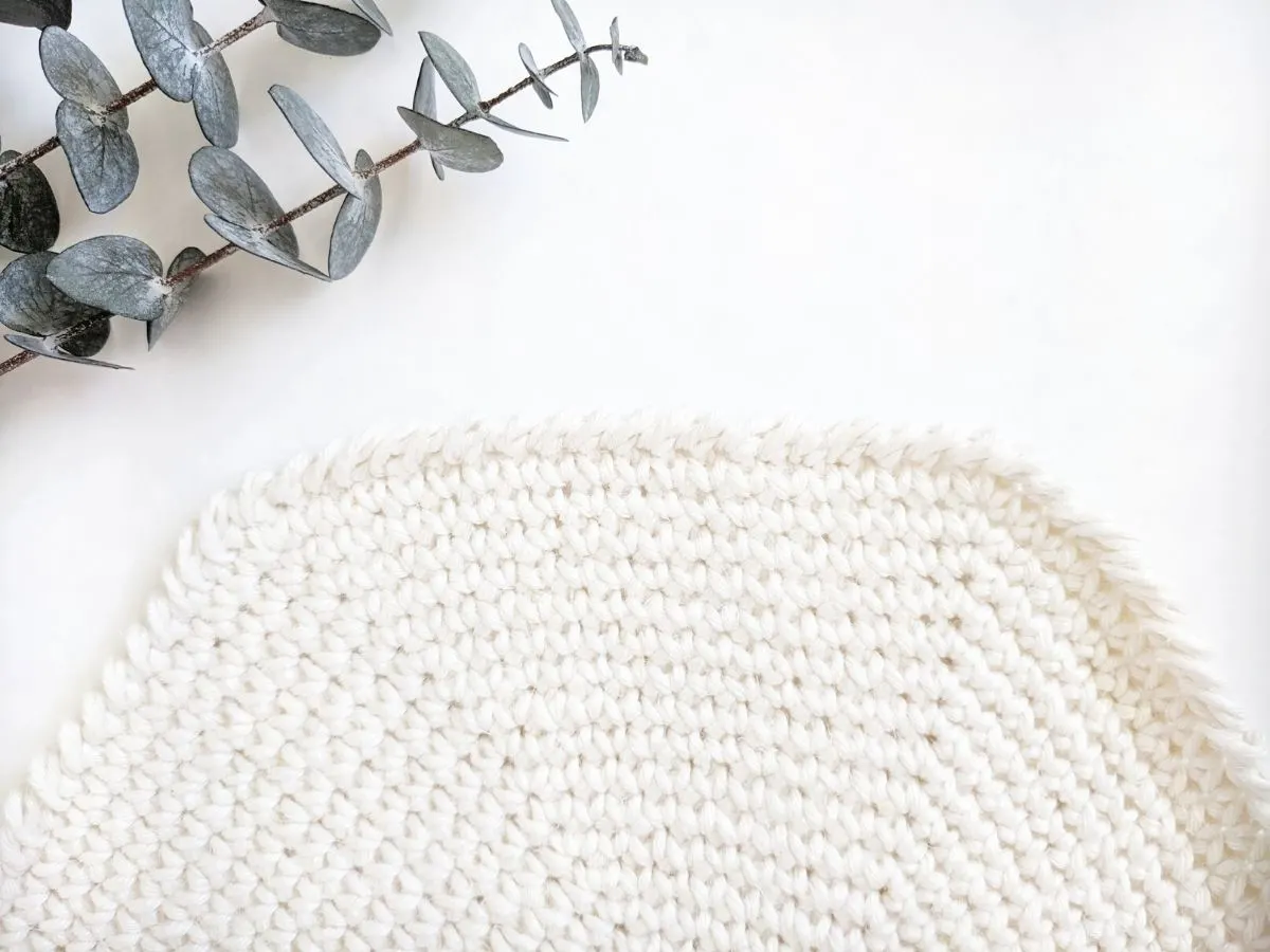 crochet circle coaster with a crab stitch border