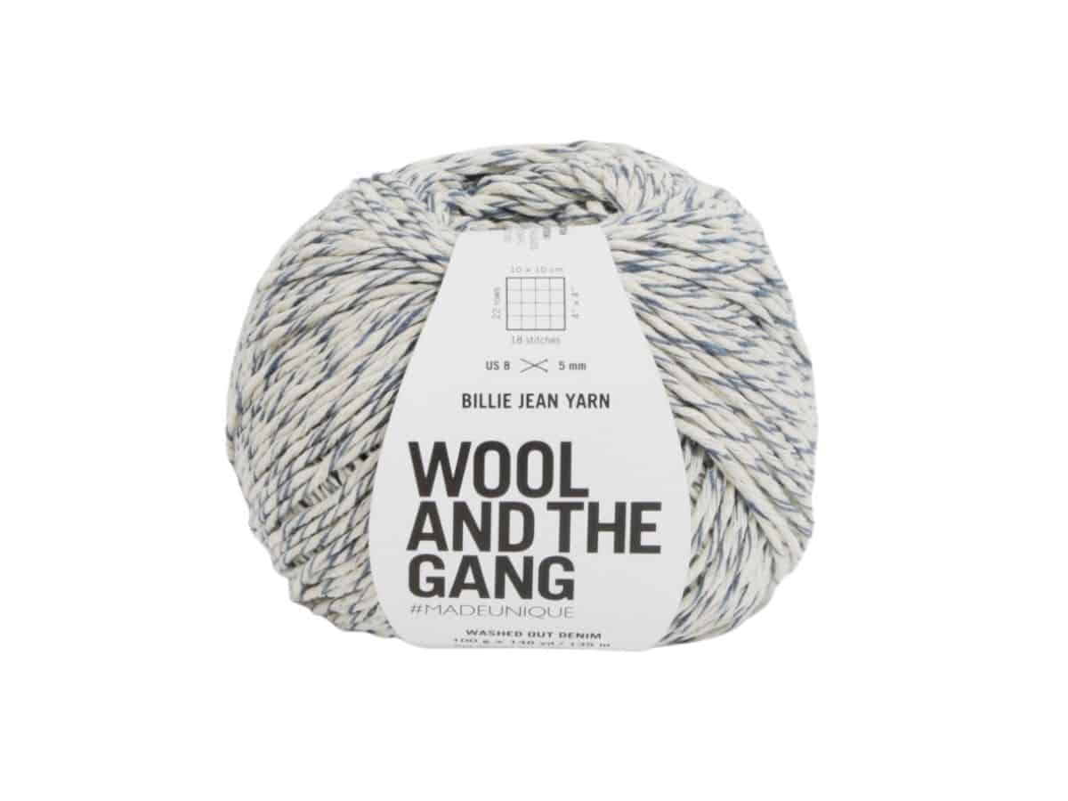 A variegated yarn in the color white and blue from Wool and The Gang. 