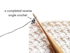 How to Crochet a Crab Stitch Border | Jewels and Jones