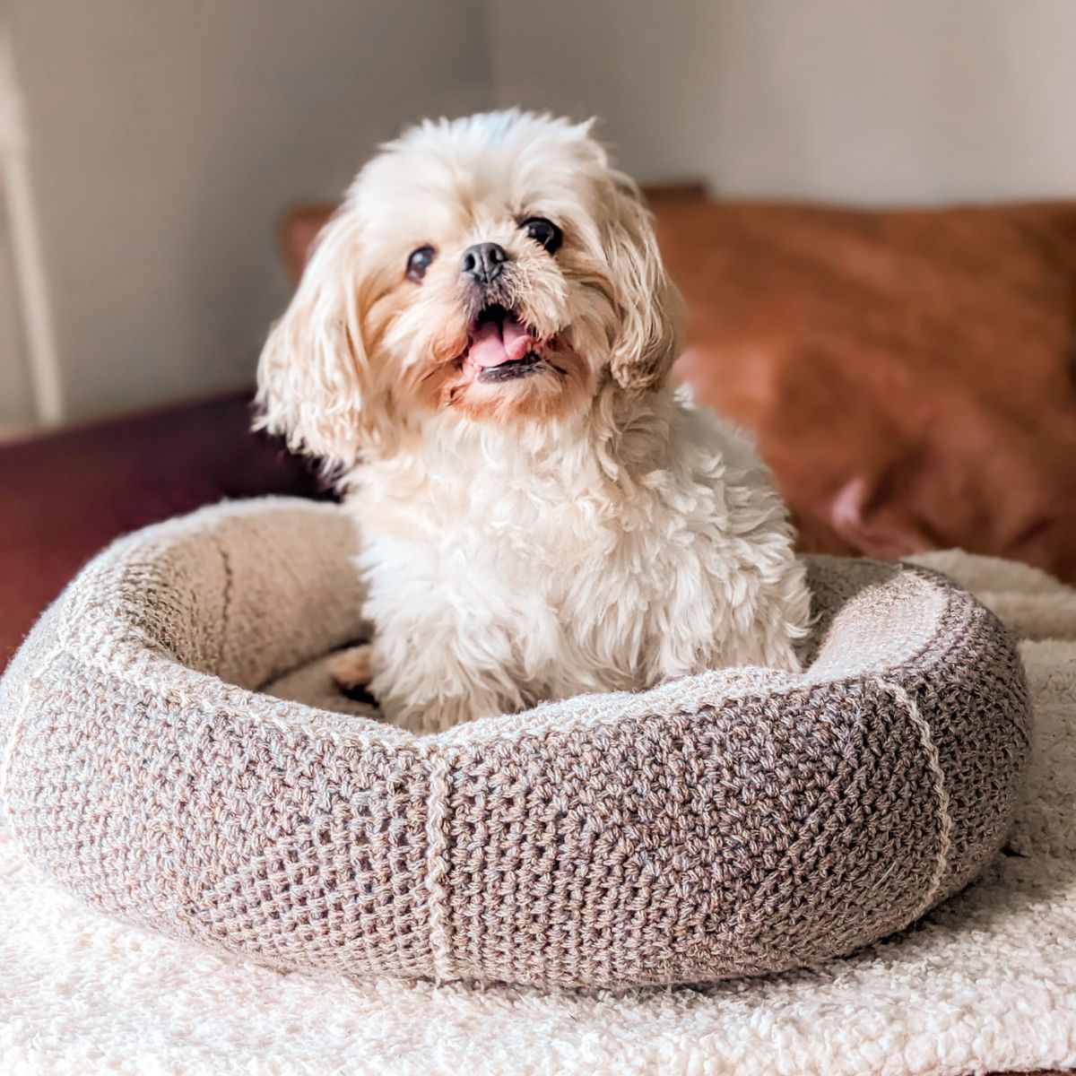 A free crochet dog bed pattern that is made with granny squares.