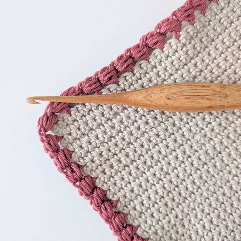 A crochet puff stitch border on a single crochet swatch.